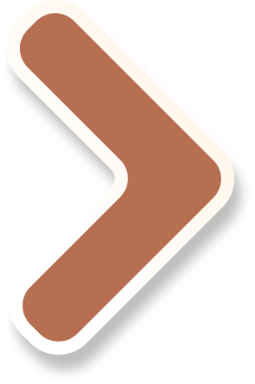 Icone de seta