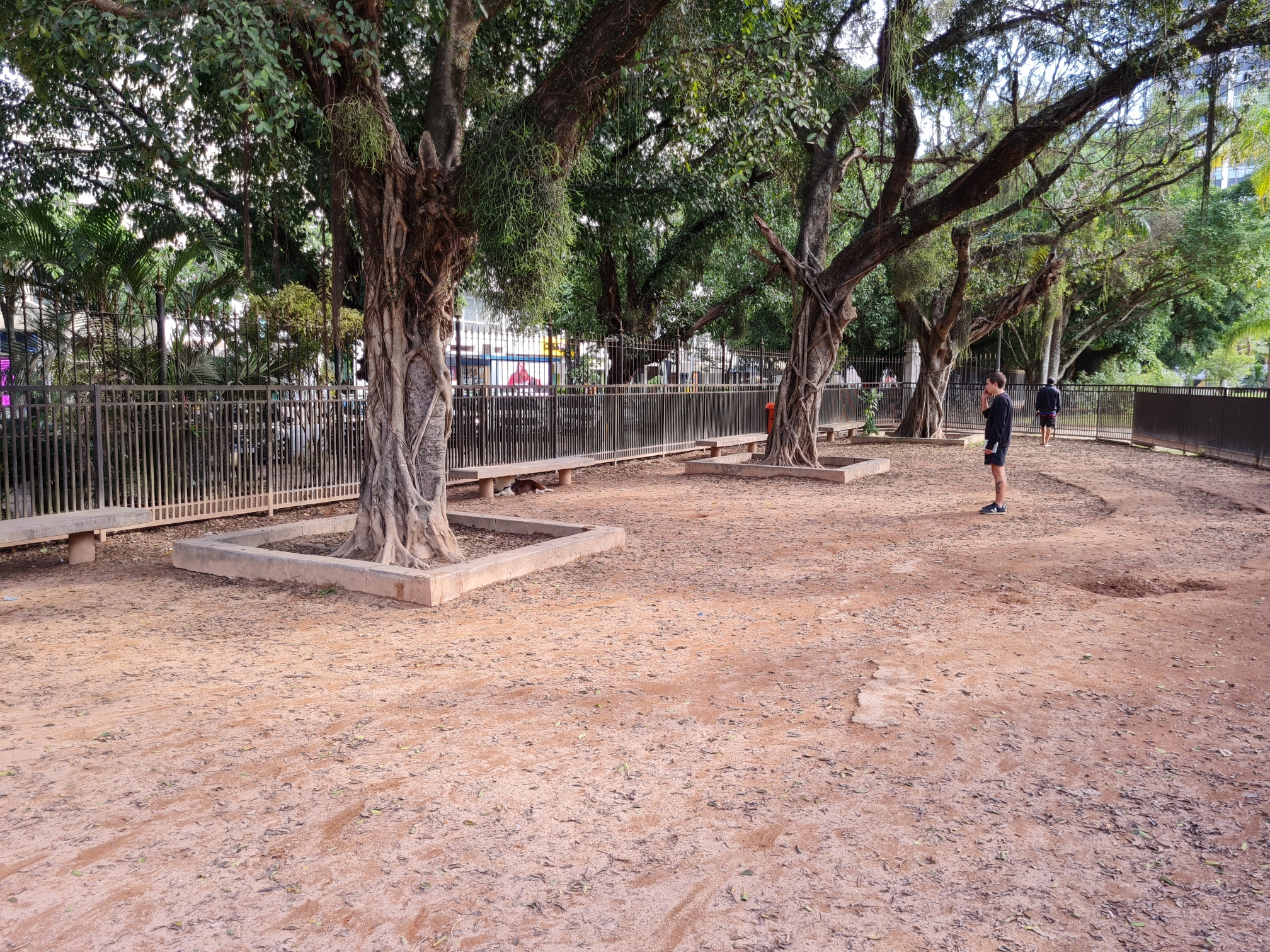 parcão