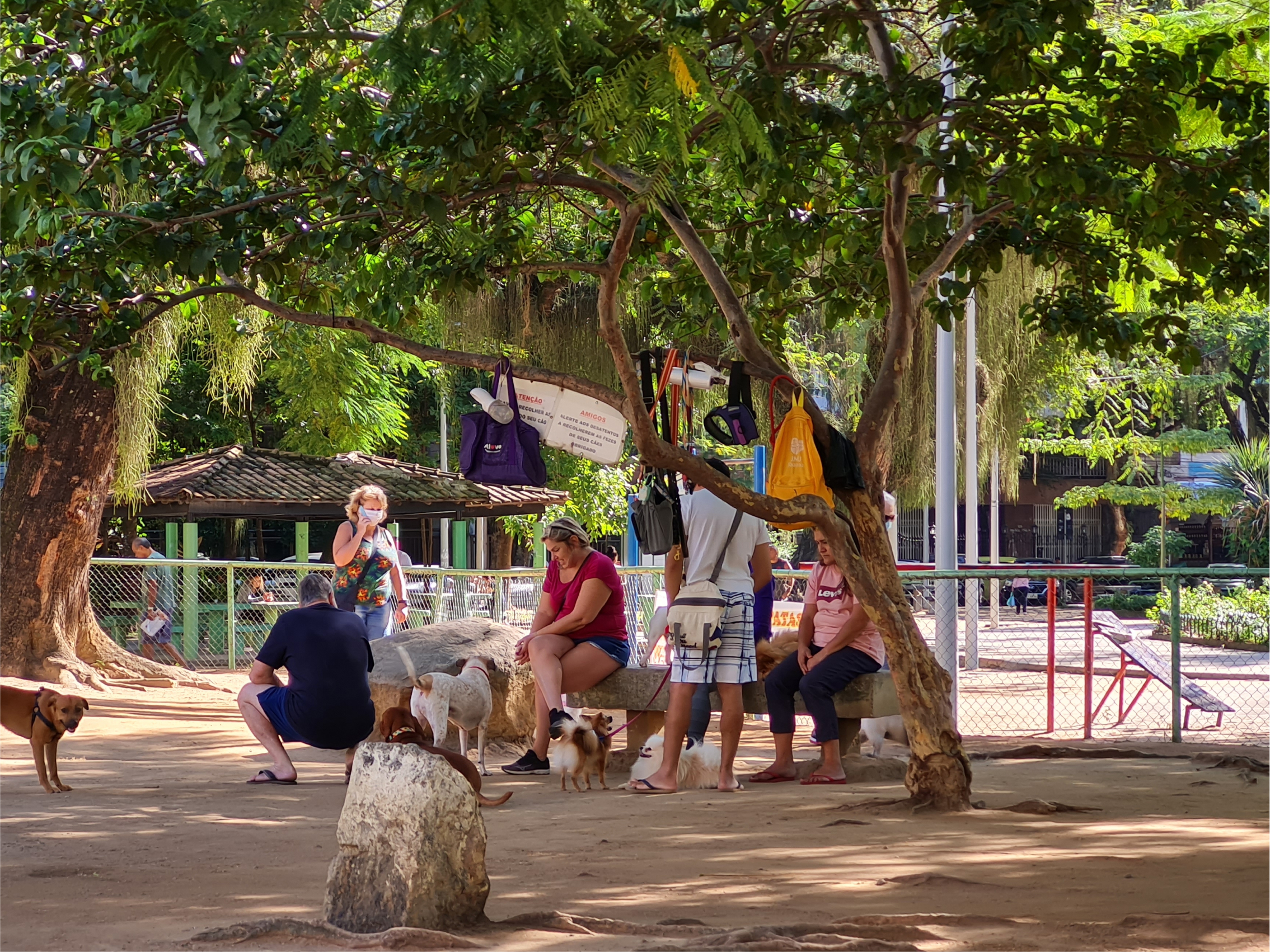 Parque de cachorros