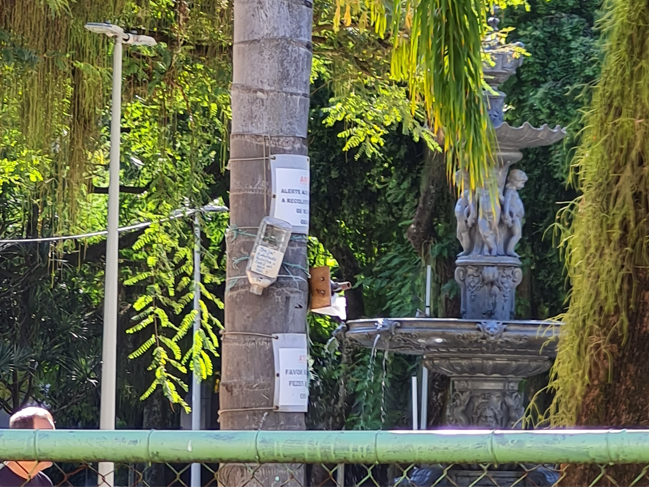 Parque de cachorros